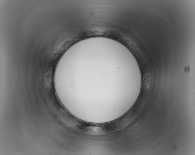 X0000114020509200910231840