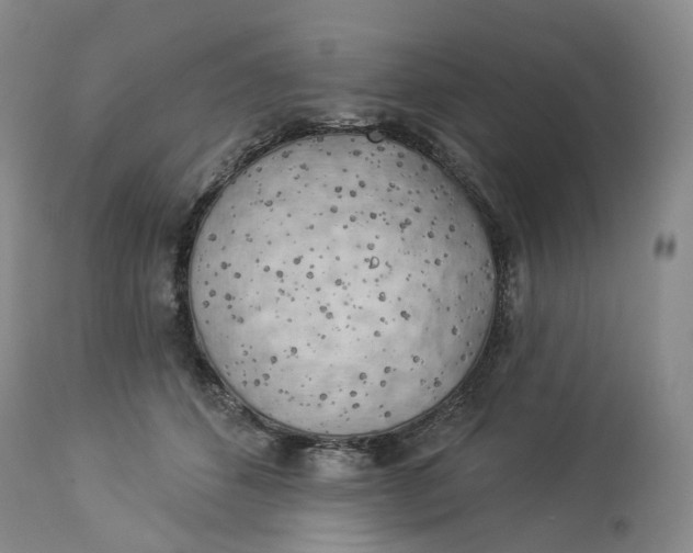 X0000114020512200910231840