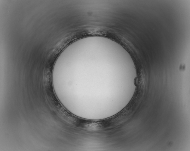 X0000114020513200910231840