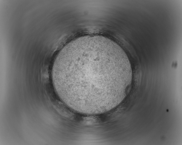 X0000114020516200910231840