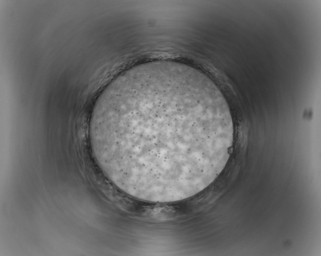 X0000114020517200910231840