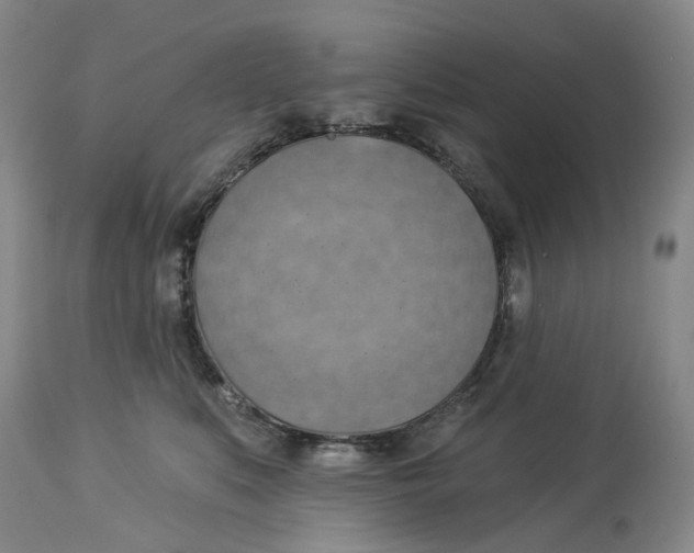 X0000114020519200910231840