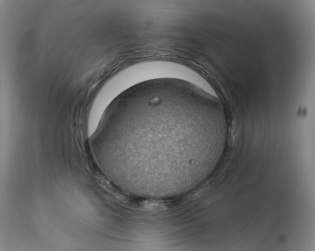 X0000114020520200910231840