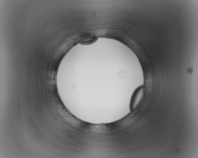 X0000114020525200910231839