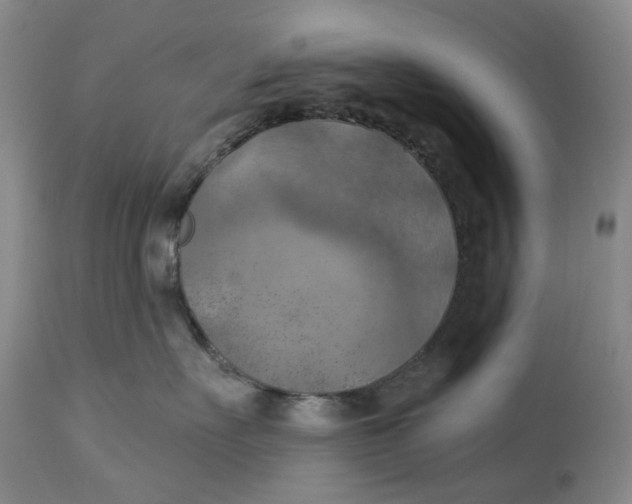 X0000114020527200910231839