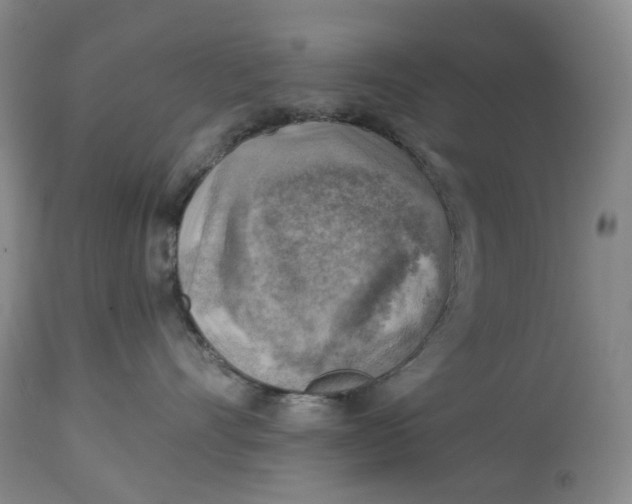 X0000114020528200910231839