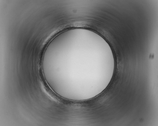 X0000114020530200910231839