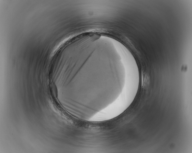 X0000114020531200910231839