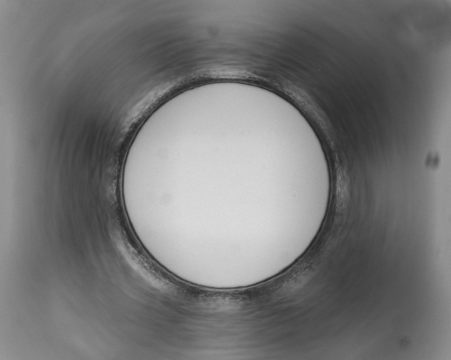 X0000114020533200910231839