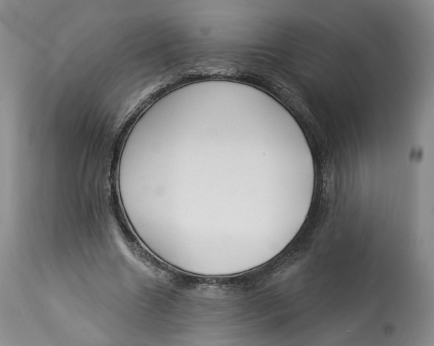 X0000114020538200910231839