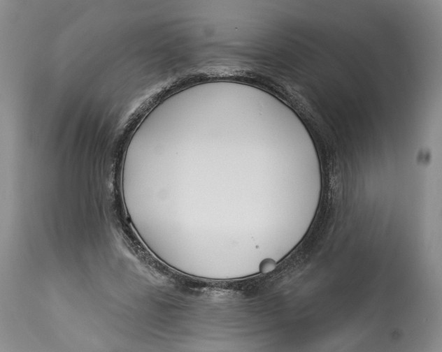 X0000114020539200910231839