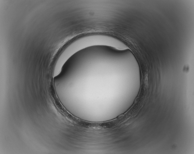 X0000114020540200910231839