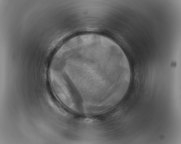 X0000114020542200910231839