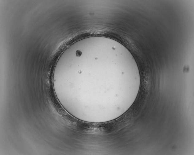 X0000114020543200910231839