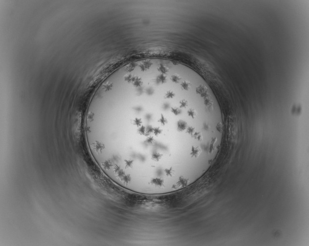 X0000114020550200910231839