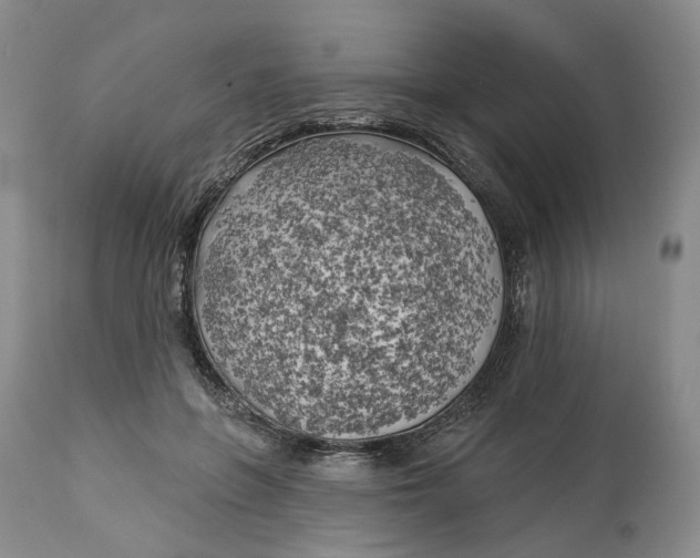 X0000114020551200910231839