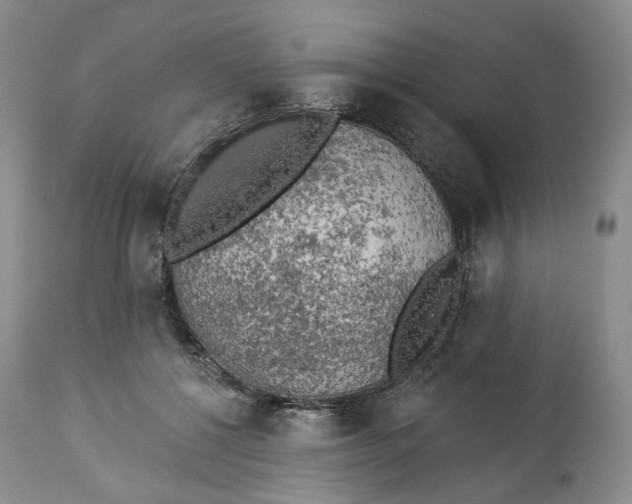 X0000114020552200910231839