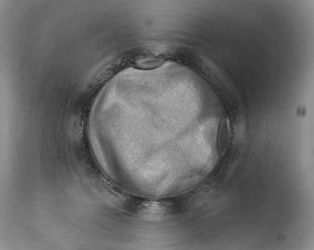 X0000114020558200910231839