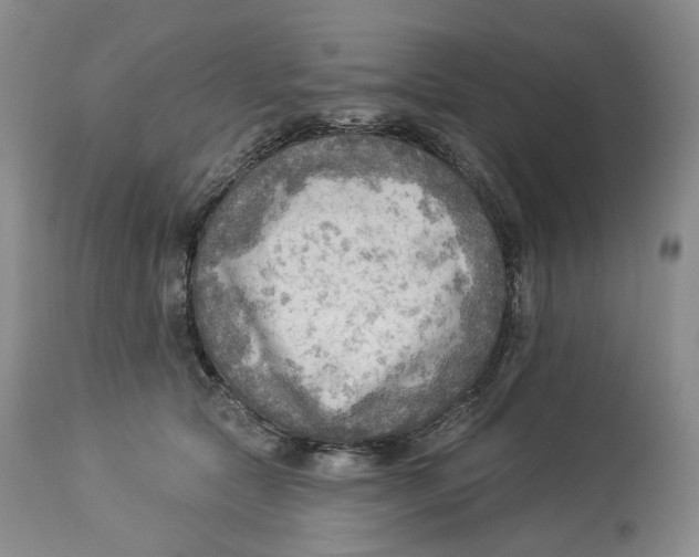 X0000114020561200910231839