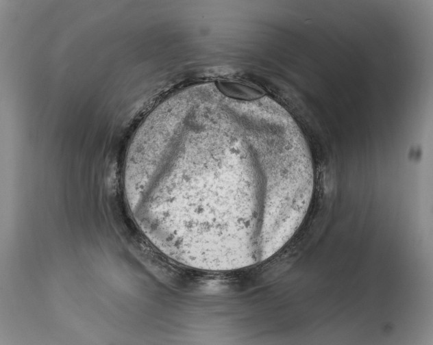 X0000114020564200910231839