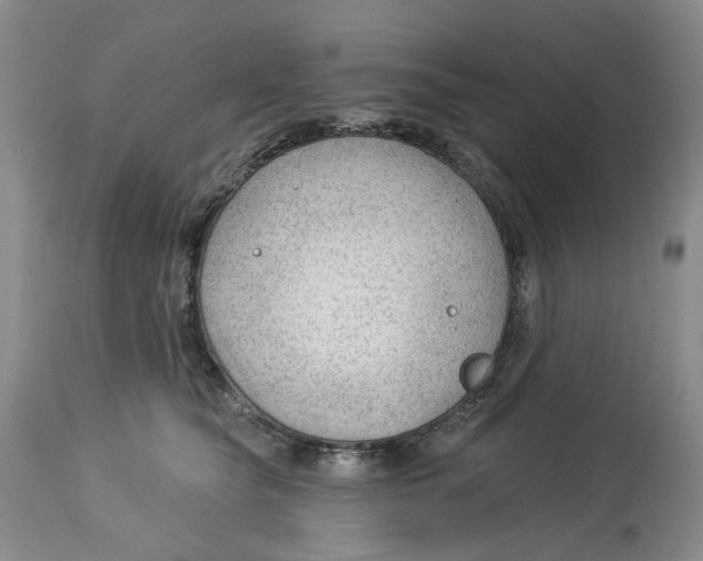 X0000114020565200910231839