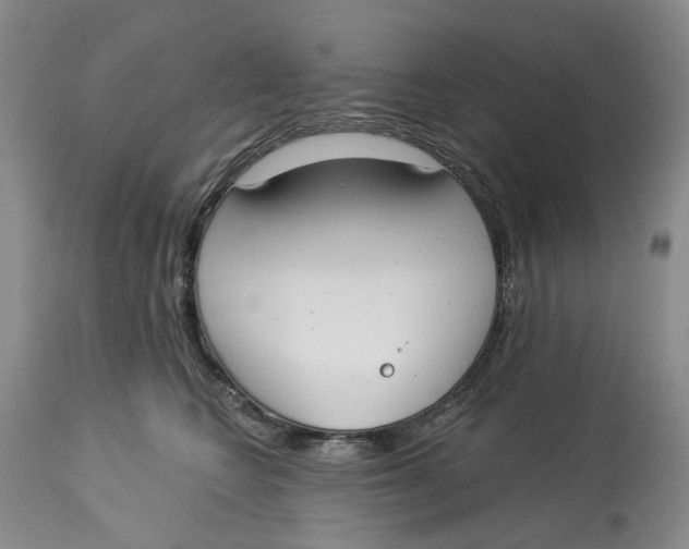 X0000114020566200910231839