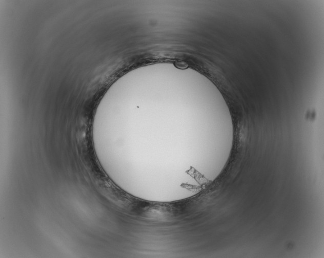 X0000114020567200910231839