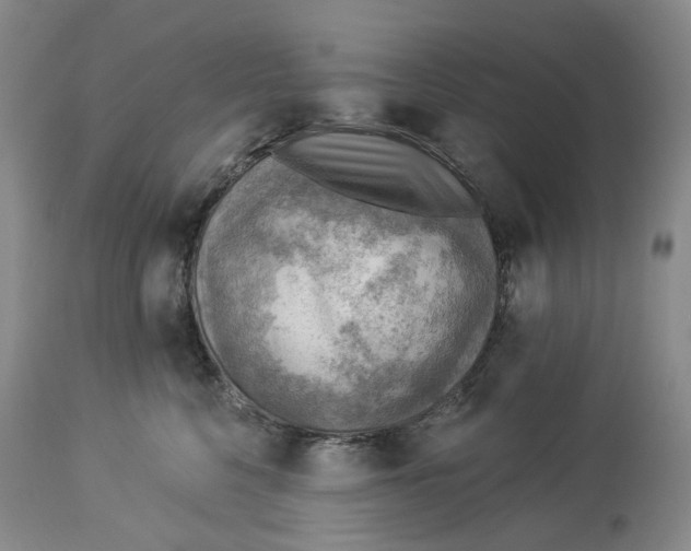 X0000114020568200910231839