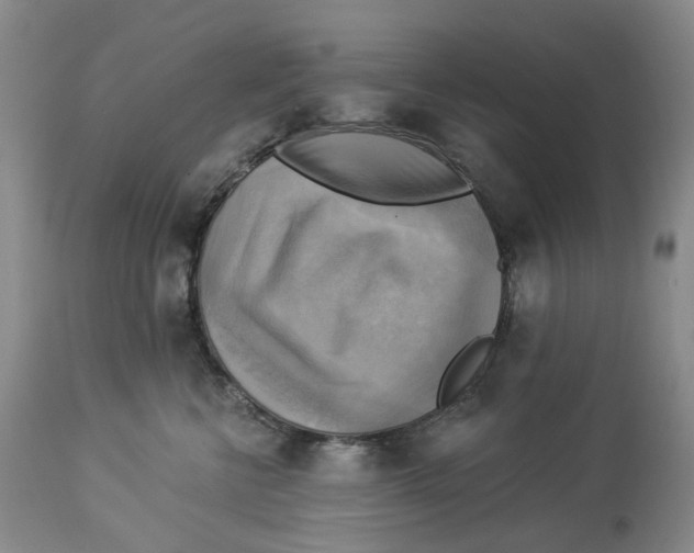 X0000114020570200910231839