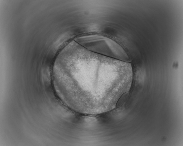 X0000114020572200910231839