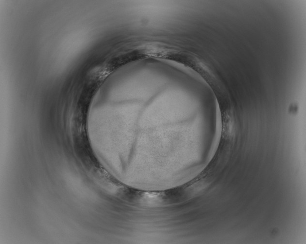 X0000114020573200910231839