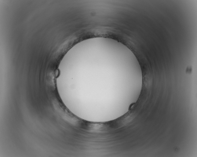 X0000114020575200910231839