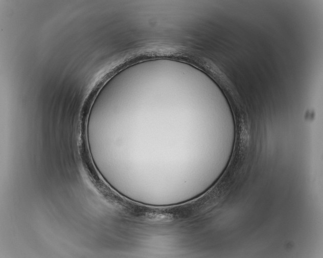 X0000114020582200910231838