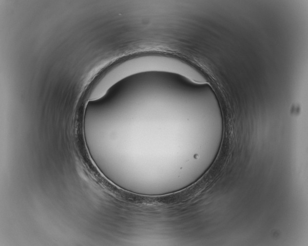 X0000114020583200910231838