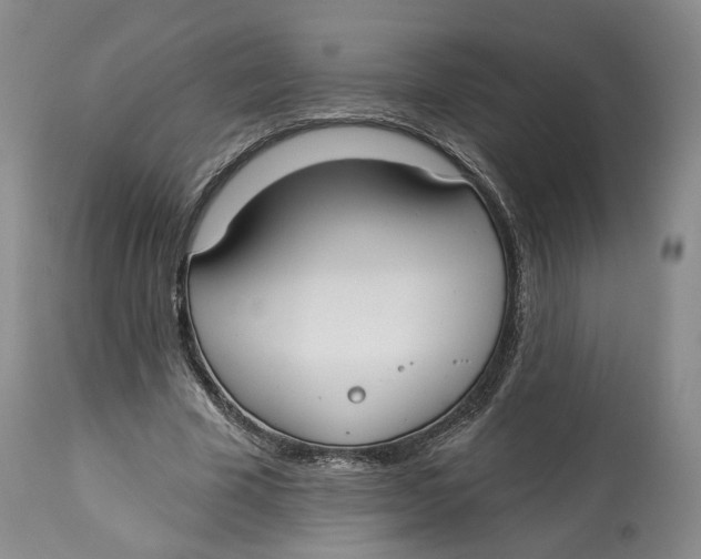 X0000114020585200910231838