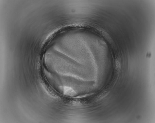 X0000114020588200910231838