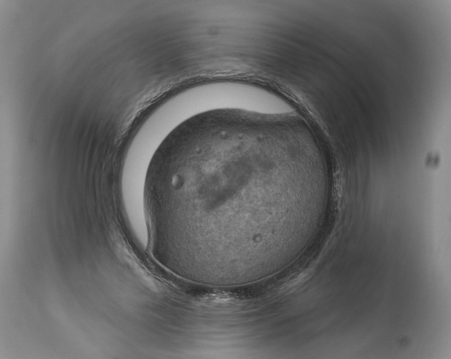 X0000114020589200910231838