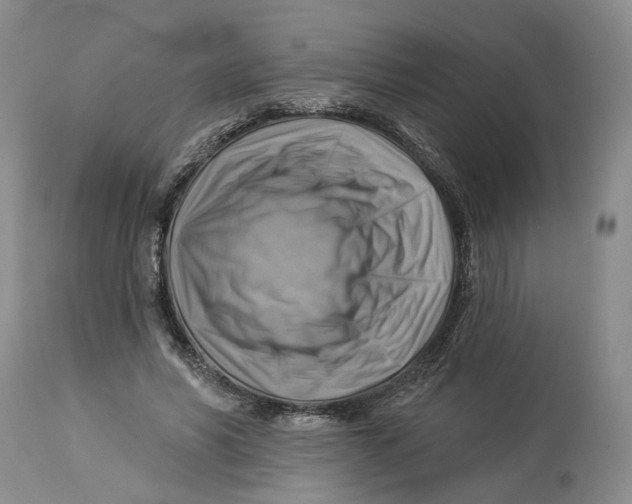 X0000114020590200910231838