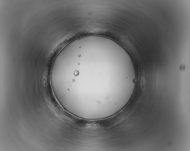 X0000114020591200910231838