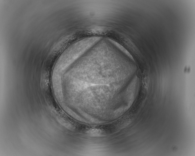 X0000114020593200910231838