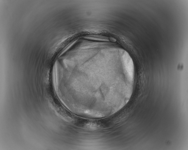 X0000114020596200910231838