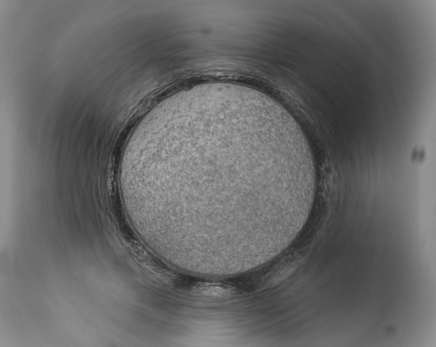 X0000114020597200910231838