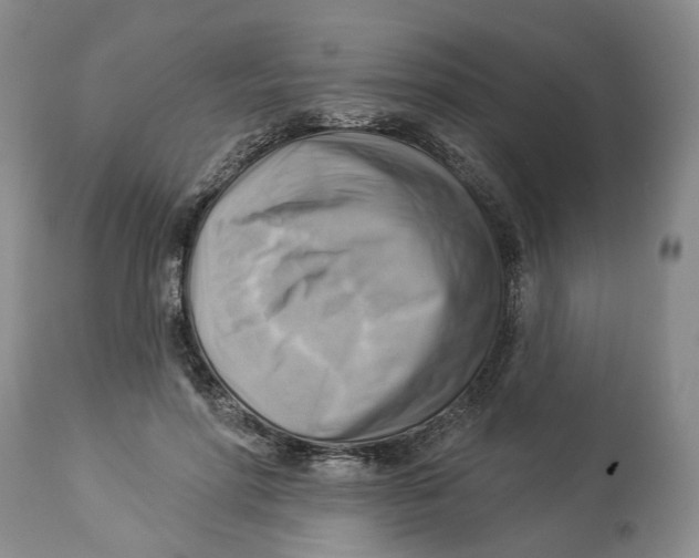 X0000114020598200910231838