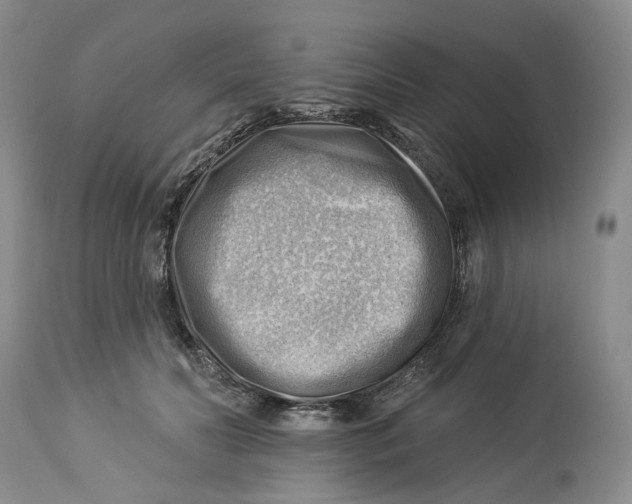 X0000114020606200910231838