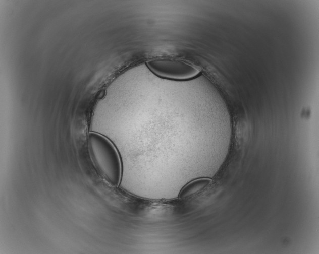 X0000114020617200910231838