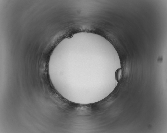 X0000114020619200910231838