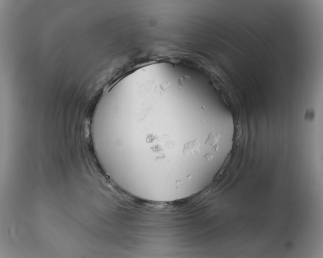 X0000114020621200910231838