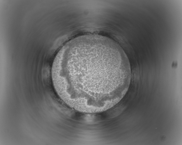 X0000114020623200910231838