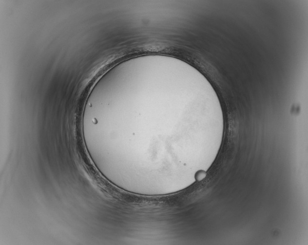 X0000114020626200910231837