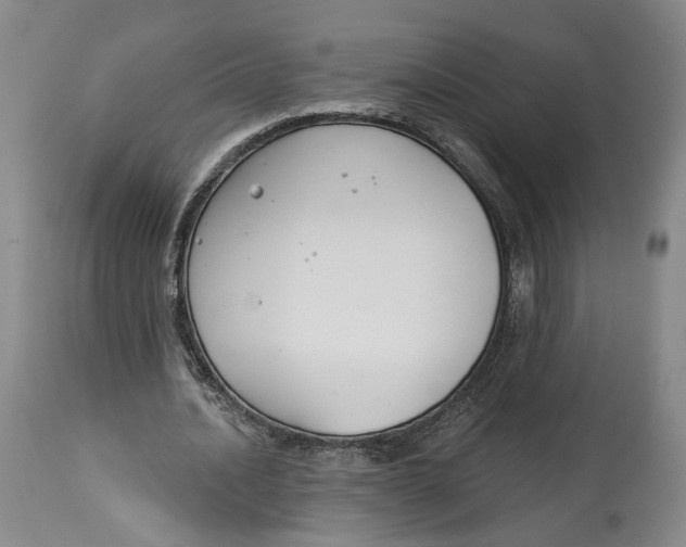 X0000114020628200910231837